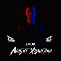 Любит хулигана - Single - Zvuk
