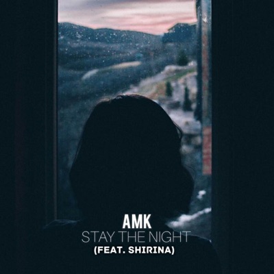 Stay the Night (feat. Shirina) - Single