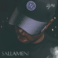 Sallameni - Single (feat. Wither J) - Single - DJ Ab