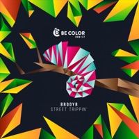 Street Trippin’ - Single - Brodyr