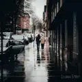                              - WEATHER EMERGENCY           