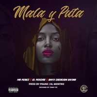 Mala y Puta (feat. Mr. Perez & Onyx Creacion Divina) - Single - El Pekeno
