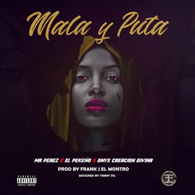 Mala y Puta (feat. Mr. Perez & Onyx Creacion Divina) - Single