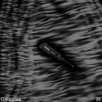 Virus - Single
