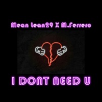 I Don't Need U (feat. M.Ferrero) - Single - Mean Lean29