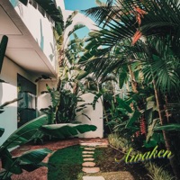 Awaken - Single - Rinse Cycle