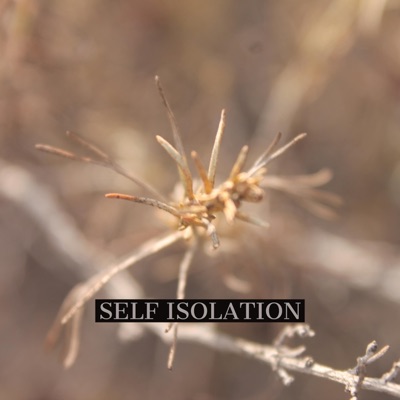 Self Isolation - Single