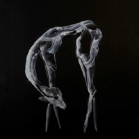 Gucci Ghost (feat. Yung Paq) - Single - Yopper Dan