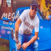 Mega Com As Piranhas (feat. MC Dennin, MC L da Vinte, MC Rick & MC AK) - Single - Djay W