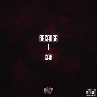 Because I Can - Single