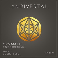 Take Something - Single - Skymate