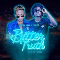 Bitter Truth (feat. Twest) - Single - Effizy Lomo