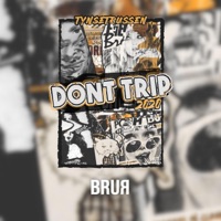 Don't Trip 2020 - Single - Brur