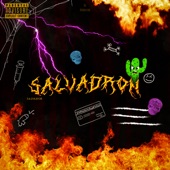 Salvadron artwork