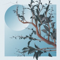 Branches - Single - Kye Kepler