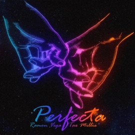 Perfecta (feat. Tax Millie) Ramon Vega