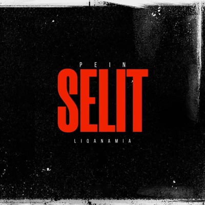 Selit (feat. Liqanamia) - Single