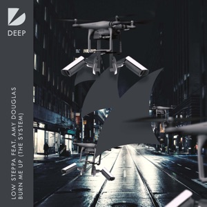 Burn Me up (The System) [feat. Amy Douglas] - Single