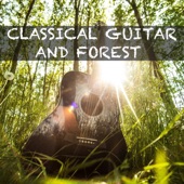 Dream Guitar and Forest #2 artwork