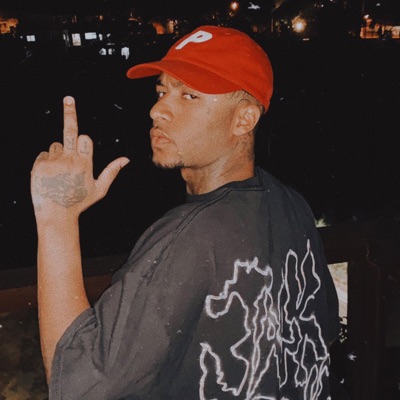 SANT TRAP VIDEOS - Sanguessuga