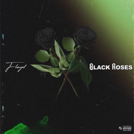 Black Roses Floyd