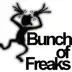 Bunch of Freaks - Single album cover