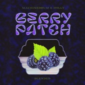 Berry Patch (Imanu Remix) artwork