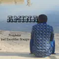 AMINA