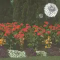 Aura Show