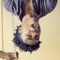 Admt (feat. Cime Sol) - Rey Morado lyrics