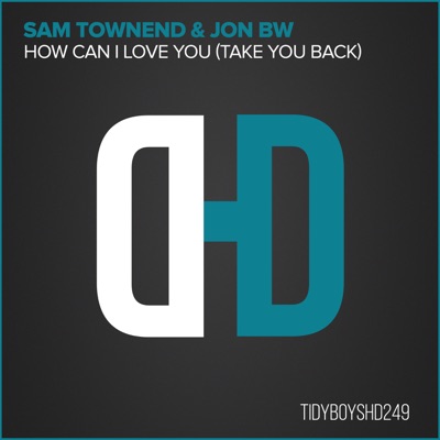How Can I Love You (Take You Back) - Single