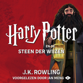 Harry Potter en de Steen der Wijzen - J.K. Rowling