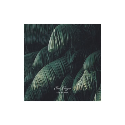 Cut Me Open - Single