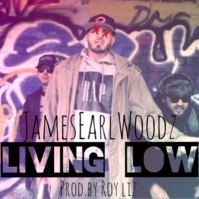 Liven Low (feat. JamesEarlWoodz) - Single