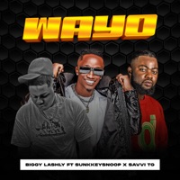 Wayo (feat. SunkkeySnoop & Savvy TG) - Single - Biggy Lashly