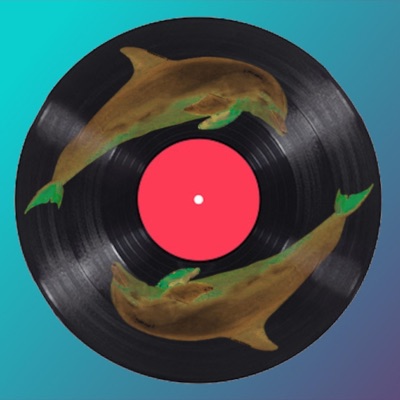 Dolphins - Single