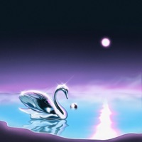 Full Moon Night - Single - Frute