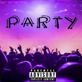 Party (feat. Dennis Landen) artwork