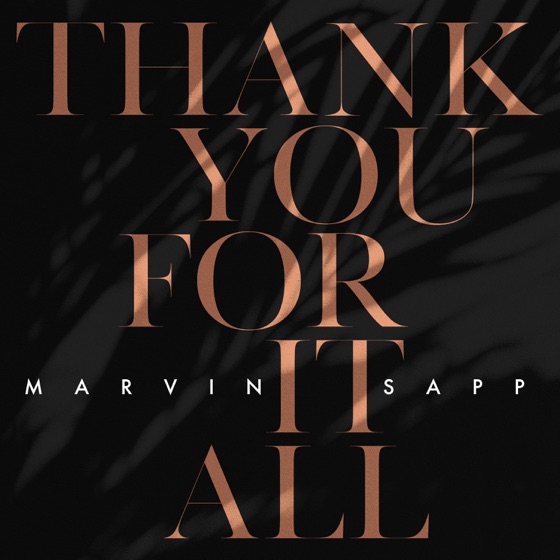 Cover artwork for Thank You for It All