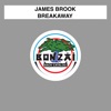 James Brook