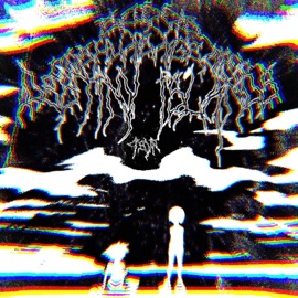 destiny islands (feat. JoshuaSageArt) Scøøb