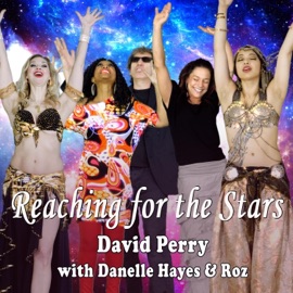 Reaching for the Stars (feat. Danelle Hayes & Roz) David Perry