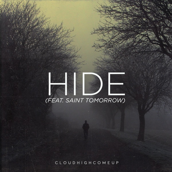 Hide (feat. Saint Tomorrow)