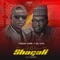 Shagali (feat. Ali Jita) - Fresh Emir lyrics