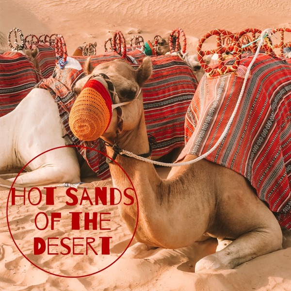Hot Sands of the Desert