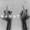 Banat (feat. Ronne) - Single