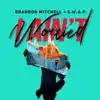 Brandon Mitchell & S.W.A.P. - I Ain't Worried