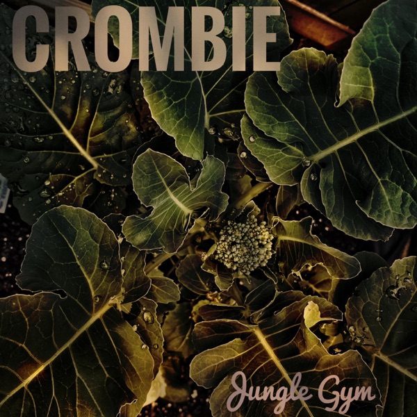Jungle Gym - Single