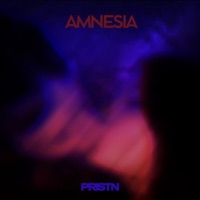 Amnesia - Single - PRISTN