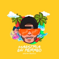 Maestría en perreo - Single - The Newface